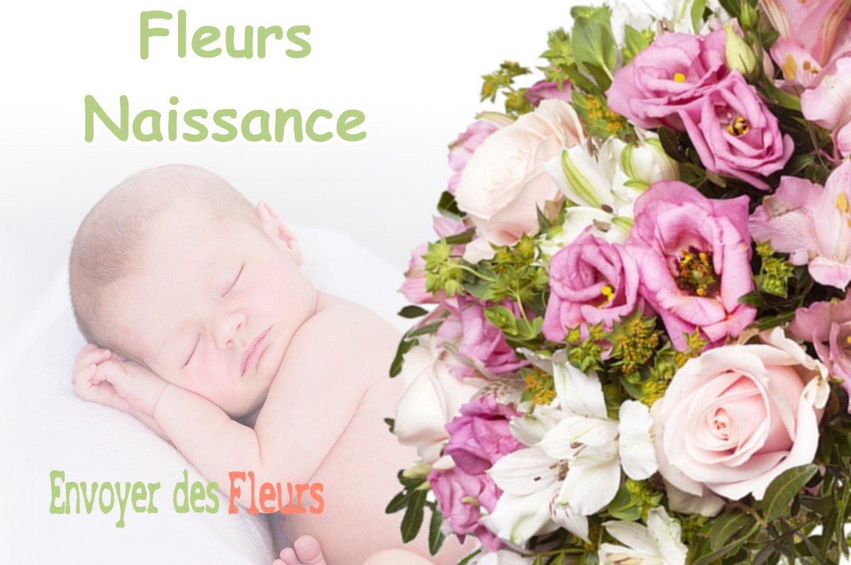 lIVRAISON FLEURS NAISSANCE à MONTAGNA-LE-TEMPLIER